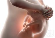 檢查胎兒畸形的檢查方法，這幾個檢查能判斷胎兒發育情況