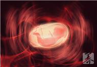 胎兒無胎心的原因，這些原因竟然會導致胎兒無胎心