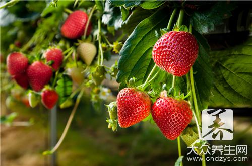 草莓10大食療秘方