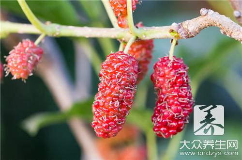 夏天用它泡酒，你就等著享福吧